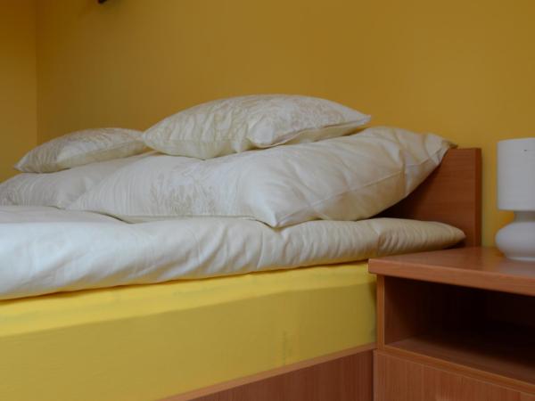 Nexus Vendégház Szeged : photo 7 de la chambre appartement duplex 3 chambres