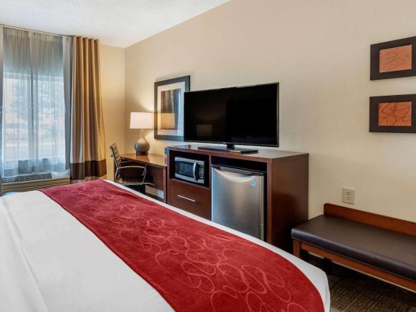 Comfort Suites Columbus West - Hilliard : photo 3 de la chambre chambre lit king-size - accessible aux personnes à mobilité réduite/non-fumeurs