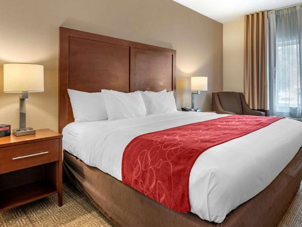 Comfort Suites Columbus West - Hilliard : photo 1 de la chambre chambre lit king-size - accessible aux personnes à mobilité réduite/non-fumeurs
