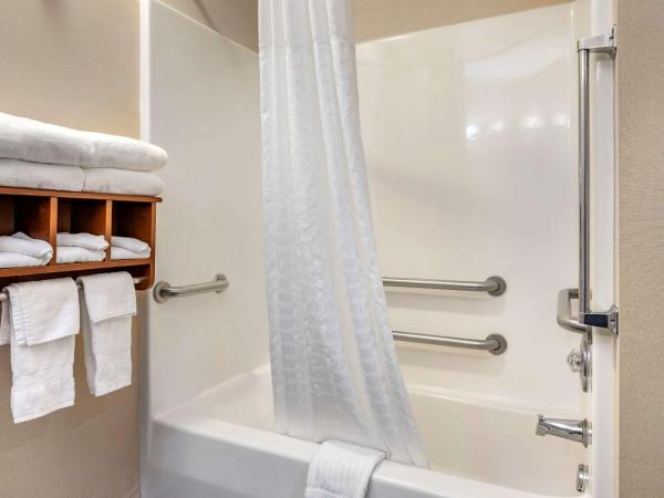 Comfort Suites Columbus West - Hilliard : photo 4 de la chambre chambre lit king-size - accessible aux personnes à mobilité réduite/non-fumeurs