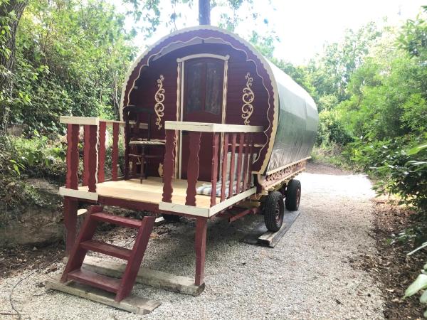 Les roulottes de Bayama - logement insolite avec jacuzzi : photo 1 de la chambre maison de vacances irlandaise