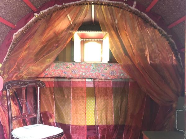 Les roulottes de Bayama - logement insolite avec jacuzzi : photo 2 de la chambre maison de vacances irlandaise