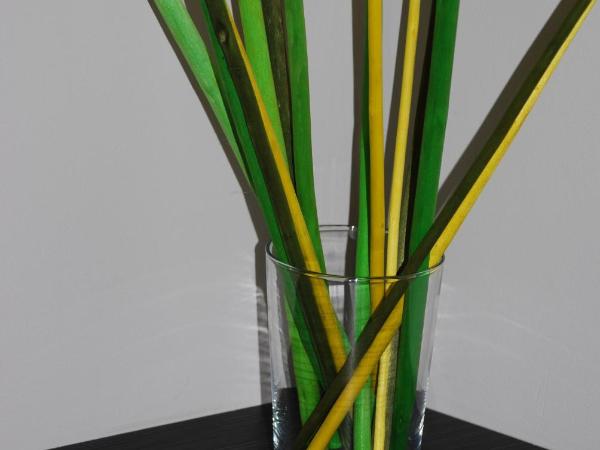 Ruthenium Hotel : photo 8 de la chambre chambre double confort