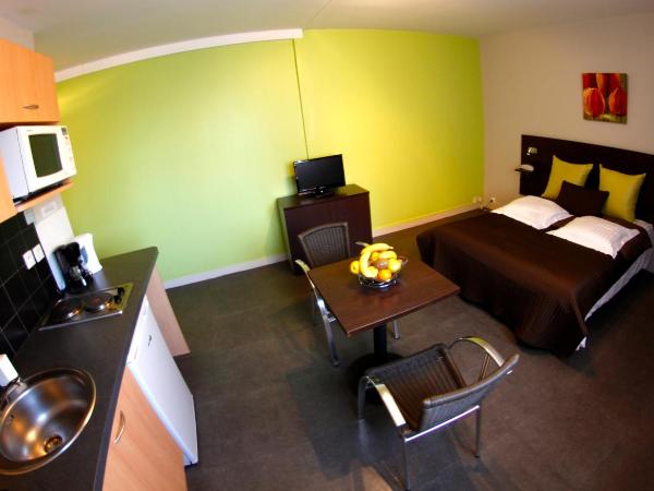 Appart'hotel Les Palatines : photo 9 de la chambre studio