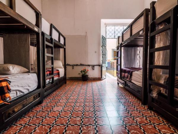 Casa Veeyuu : photo 7 de la chambre lit dans dortoir mixte de 8 lits 