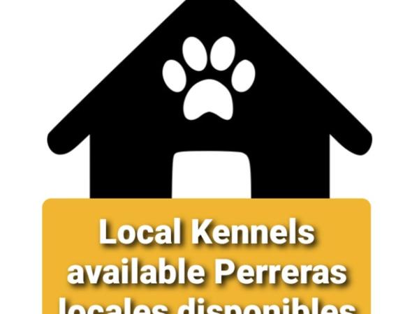 Recovery Mountain Homestay : photo 5 de la chambre chambre double