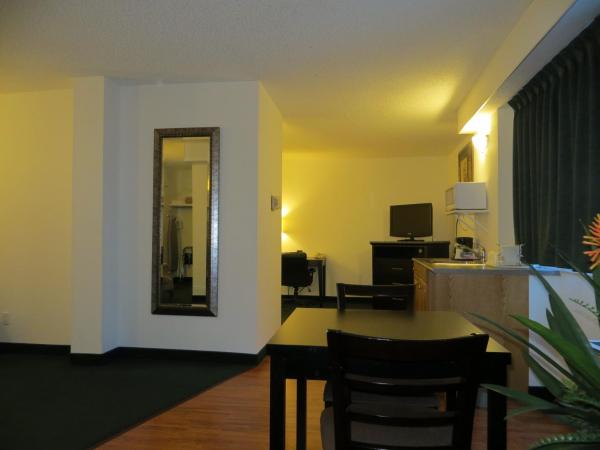 Comfort Inn & Suites : photo 9 de la chambre suite lit king-size avec jacuzzi - non-fumeurs