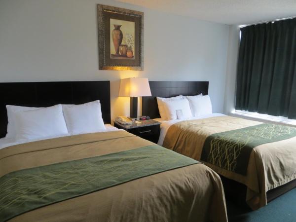 Comfort Inn & Suites : photo 3 de la chambre chambre double avec 2 lits doubles - non-fumeurs