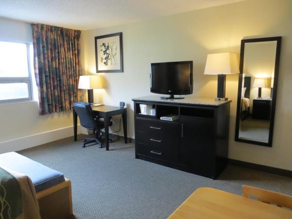 Comfort Inn & Suites : photo 3 de la chambre chambre lit king-size - non-fumeurs