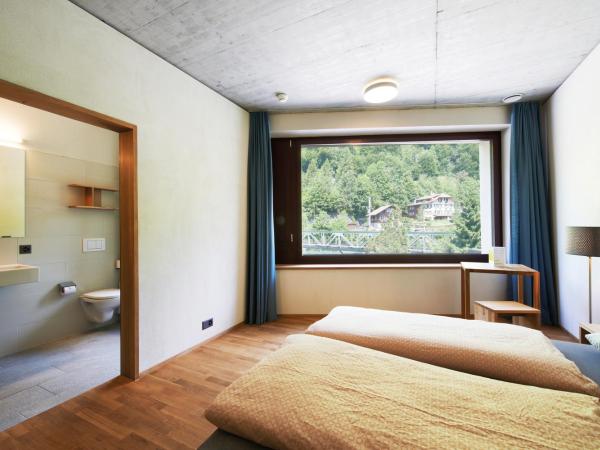 Interlaken Youth Hostel : photo 4 de la chambre chambre double avec douche
