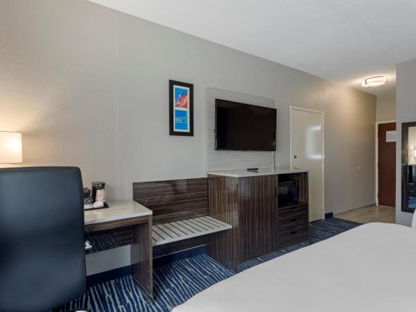 Comfort Inn & Suites : photo 8 de la chambre chambre standard avec 2 lits queen-size - non-fumeurs 