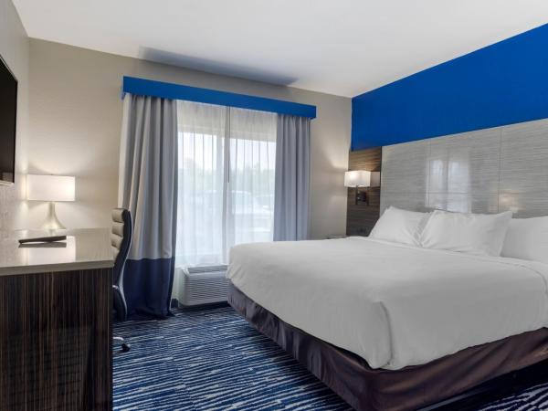 Comfort Inn & Suites : photo 1 de la chambre chambre lit king-size standard - non-fumeurs