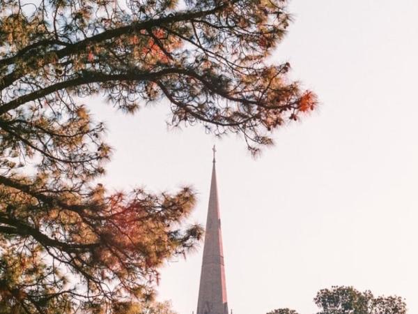 Caroline Serviced Apartments Richmond : photo 7 de la chambre studio lit king-size deluxe