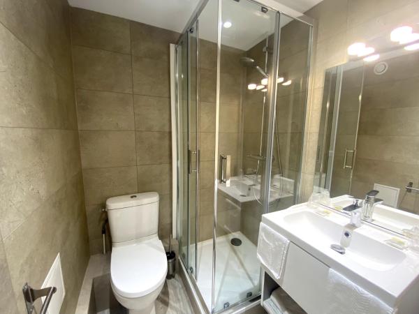 Hotel Victor Hugo : photo 3 de la chambre chambre double standard