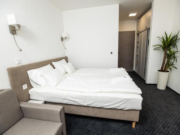 Arena Deluxe & Spa : photo 3 de la chambre chambre lit queen-size avec baignoire spa