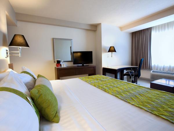 Holiday Inn Puebla La Noria, an IHG Hotel : photo 6 de la chambre chambre standard