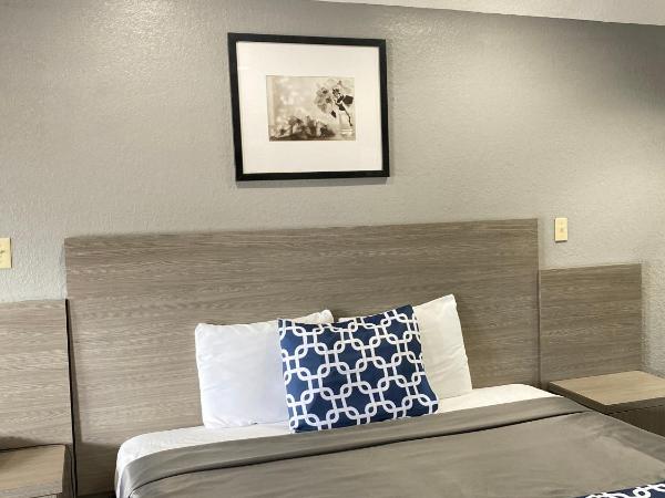 Island Suites Hobby Airport : photo 10 de la chambre suite lit king-size