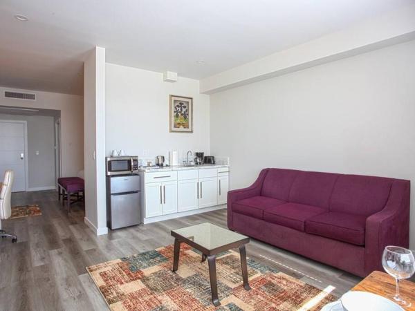 Spacious 1 Bedroom Apartment in Balboa Park : photo 7 de la chambre appartement