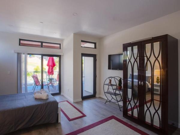 Spacious Studio with Incredible Balboa Park View : photo 3 de la chambre studio