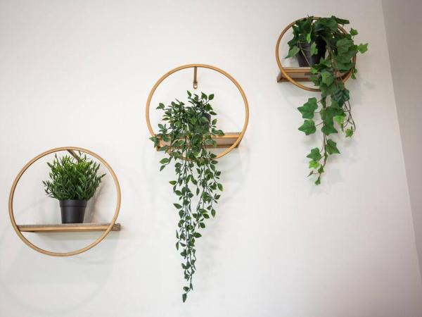 Steps to Balboa Park- Brand New Apt - Cozy Studio : photo 9 de la chambre appartement