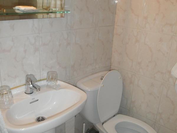 Hostal Los Andes : photo 6 de la chambre chambre double ou lits jumeaux avec lit d'appoint