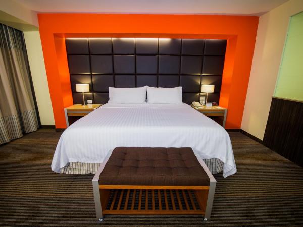 Holiday Inn Mexico City-Plaza Universidad, an IHG Hotel : photo 10 de la chambre chambre lit king-size standard