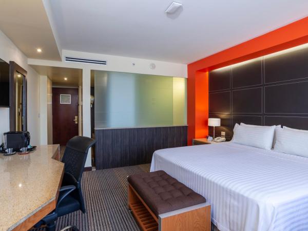 Holiday Inn Mexico City-Plaza Universidad, an IHG Hotel : photo 9 de la chambre chambre lit king-size standard