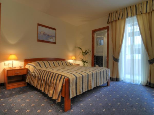 Hotel Rosina : photo 2 de la chambre chambre double avec balcon - vue sur montagnes