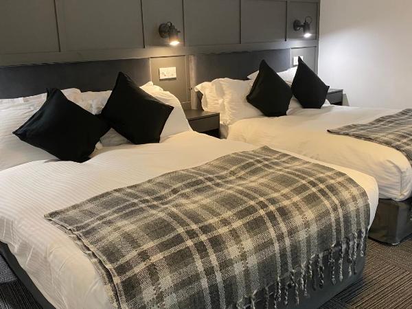 Siberia Bar & Hotel : photo 6 de la chambre chambre lits jumeaux spacieuse