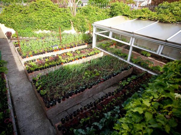 Adare Guesthouse : photo 2 de la chambre chambre double deluxe avec baignoire