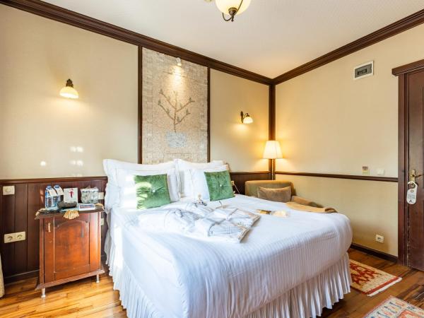 Best Point Hotel-Old City Sultanahmet : photo 8 de la chambre chambre double supérieure avec terrasse - 15 m²
