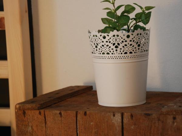 The Bed + Breakfast : photo 10 de la chambre chambre quadruple avec salle de bains commune