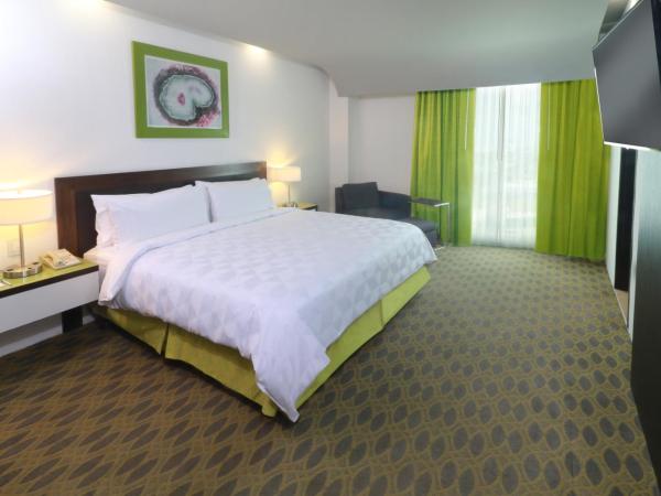 Holiday Inn Queretaro Zona Krystal, an IHG Hotel : photo 1 de la chambre chambre king standard avec vue sur ville