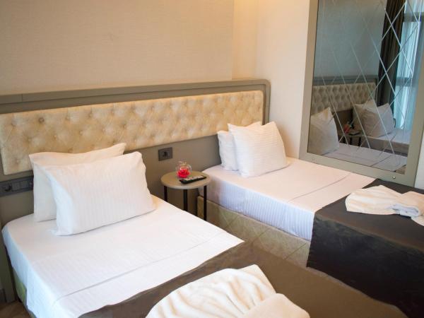 Mayer Hotel Istanbul : photo 4 de la chambre chambre double standard