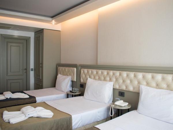Mayer Hotel Istanbul : photo 2 de la chambre chambre triple standard