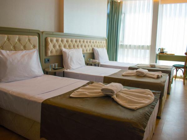 Mayer Hotel Istanbul : photo 1 de la chambre chambre triple standard