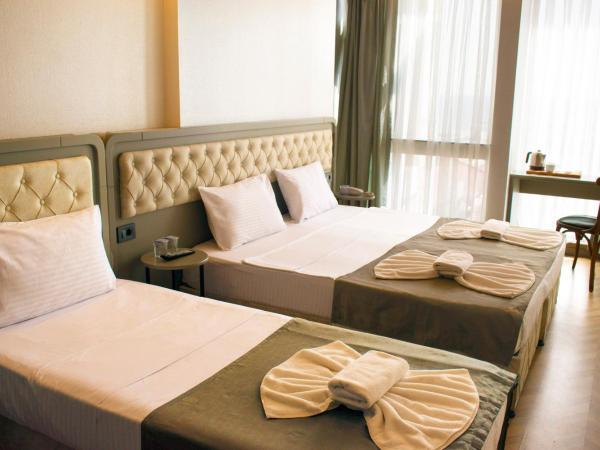 Mayer Hotel Istanbul : photo 4 de la chambre chambre triple standard