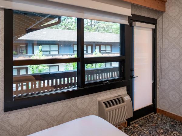 The Dorothy Motel : photo 3 de la chambre chambre supérieure avec 2 lits queen-size - hôtel