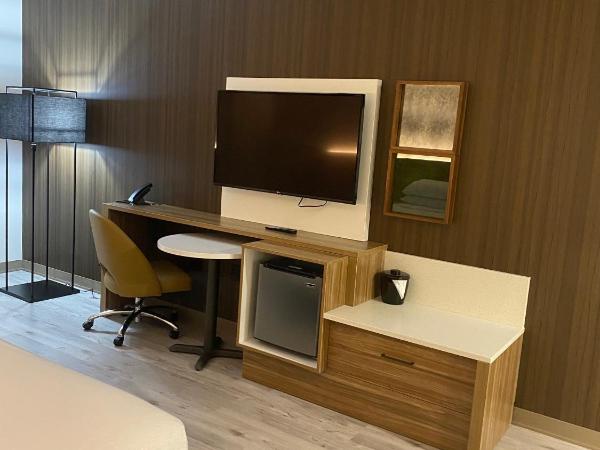Wyndham Garden Orlando Airport - Free Airport Shuttle : photo 4 de la chambre chambre lit king-size - non-fumeurs