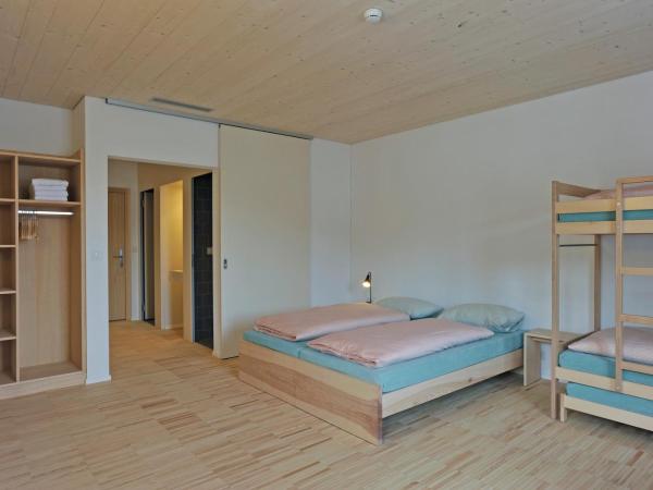 St. Moritz Youth Hostel : photo 4 de la chambre chambre simple avec douche 