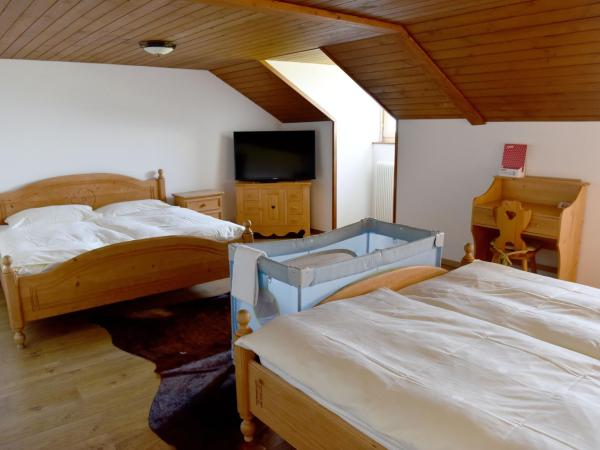 Hôtel de Ville : photo 10 de la chambre chambre familiale - vue sur montagne
