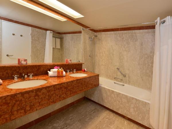 Holiday Inn Nice, an IHG Hotel : photo 3 de la chambre chambre standard