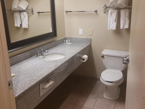 Comfort Suites Westchase Houston Energy Corridor : photo 4 de la chambre suite lit king-size – non-fumeurs