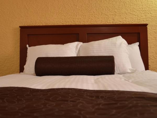 Howard Johnson by Wyndham Morelia Calle Real : photo 4 de la chambre chambre lit king-size - non-fumeurs