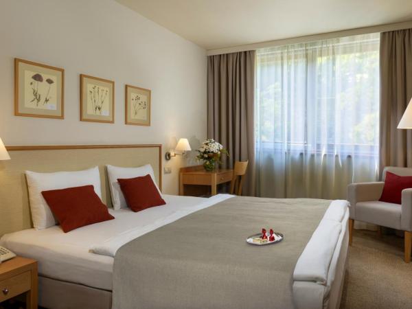 Hotel Castle Garden : photo 1 de la chambre chambre double standard