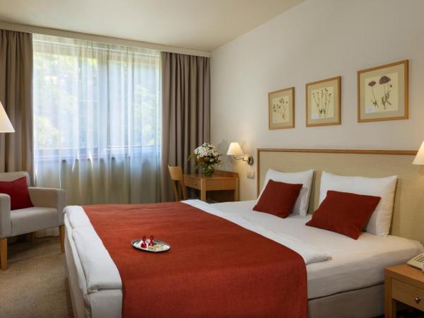 Hotel Castle Garden : photo 1 de la chambre chambre double Économique