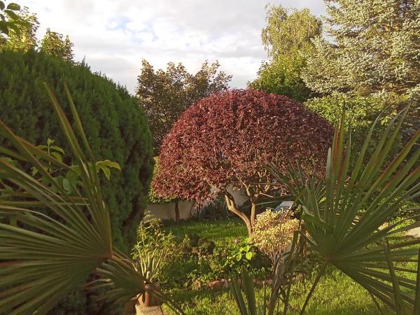 Pension Baron Schoeneck : photo 9 de la chambre suite 2 chambres