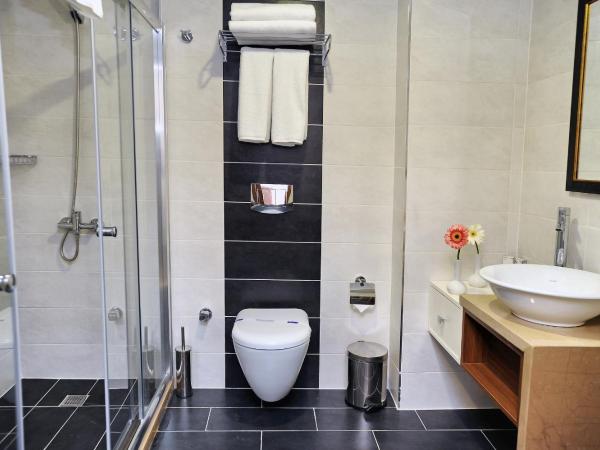 Delta Hotel Istanbul & Old City : photo 10 de la chambre chambre quadruple