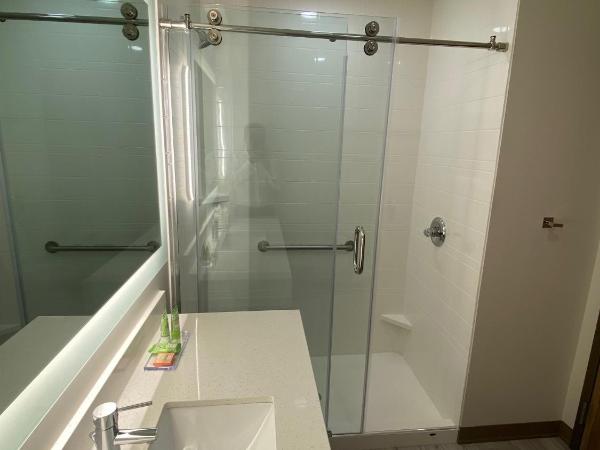 Wyndham Garden Orlando Airport - Free Airport Shuttle : photo 7 de la chambre chambre lit king-size - non-fumeurs