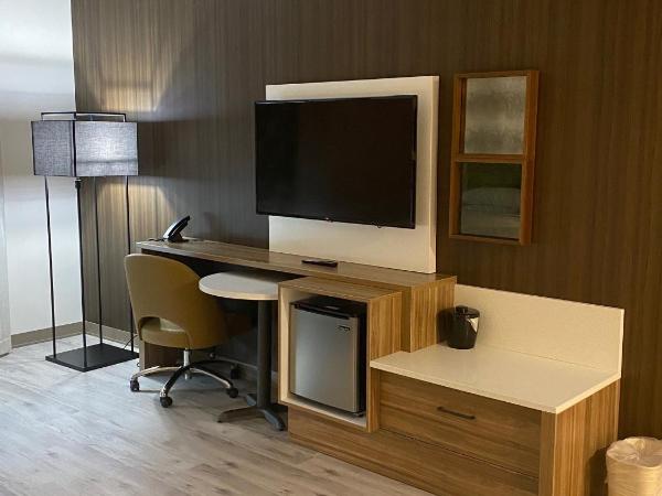 Wyndham Garden Orlando Airport - Free Airport Shuttle : photo 8 de la chambre chambre lit king-size - non-fumeurs